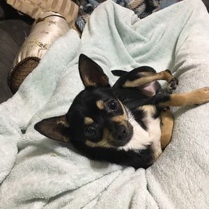 Meet your Posher, Skyler